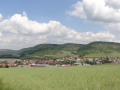 DSC06318