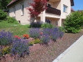 Haus-im-Sommer-1
