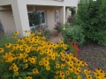 Haus-im-Sommer-3