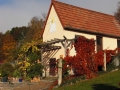 Herbst-im-Garten-0