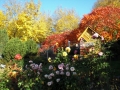 Herbst-im-Garten-2
