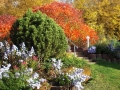 Herbst-im-Garten-4