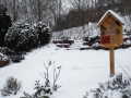 Wintert-im-Garten-2