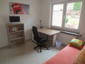 Arbeits-Gästezimmer-2